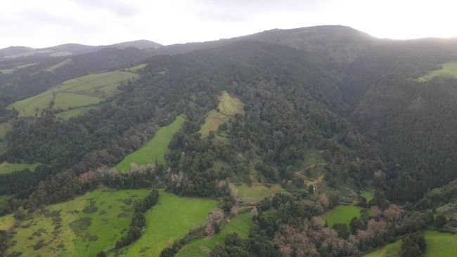 Land in Ponta Delgada (Sao Pedro), Azores, Portugal 1 - 15882902