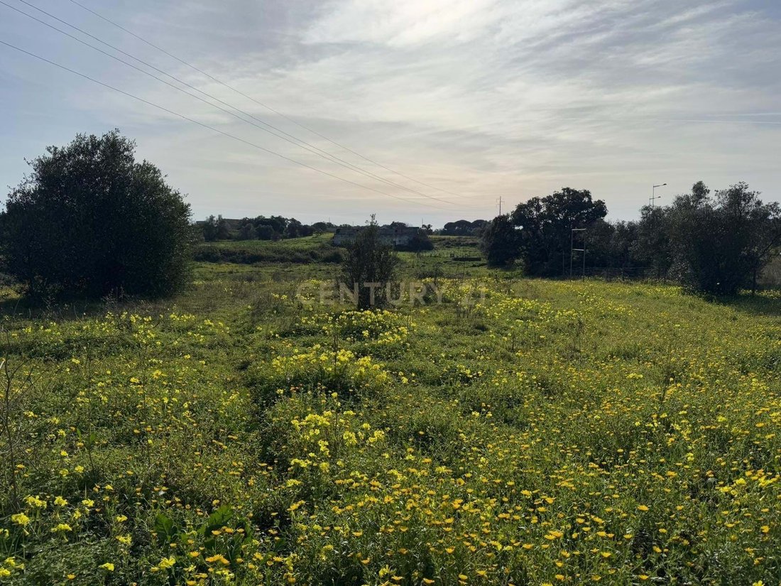 Land in Montijo e Afonsoeiro, Setubal, Portugal 5 - 15054509
