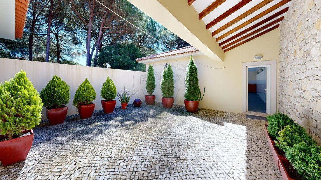 Villa in Santo Estevao, Santarem District, Portugal 5 - 15886897