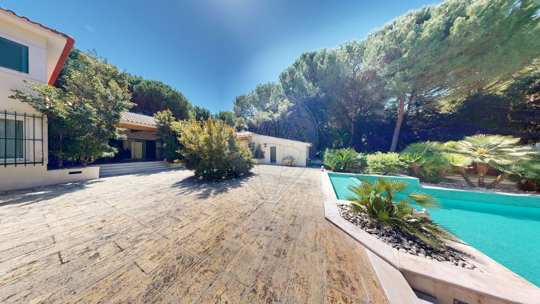 Villa in Santo Estevao, Santarem District, Portugal 1 - 15886897