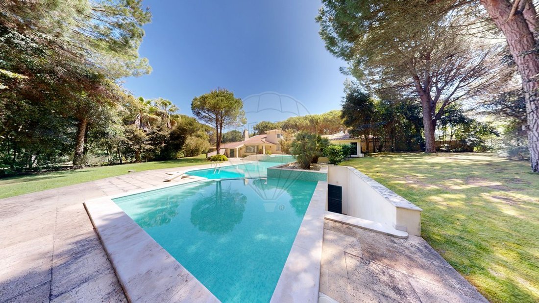 Villa in Santo Estevao, Santarem District, Portugal 3 - 15886897