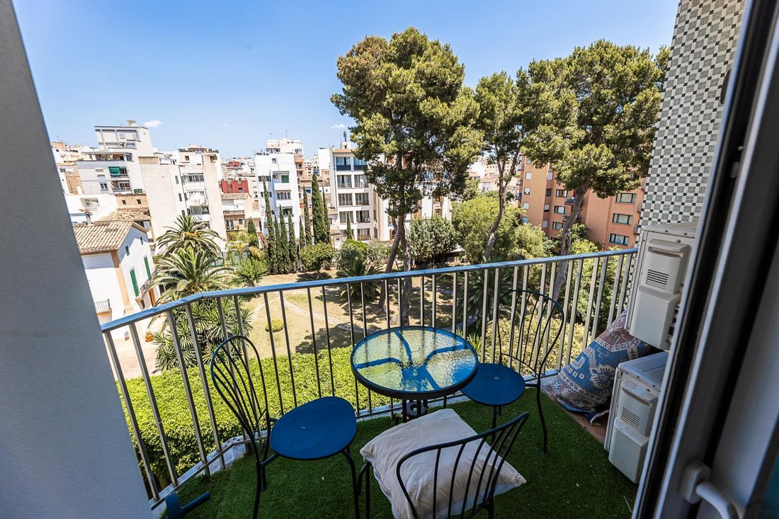 Apartment in Palma, Balearic Islands, Spain 3 - 15889250