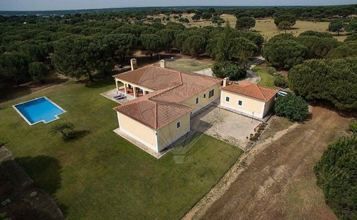Villa in Santo Estevao, Santarem District, Portugal 1