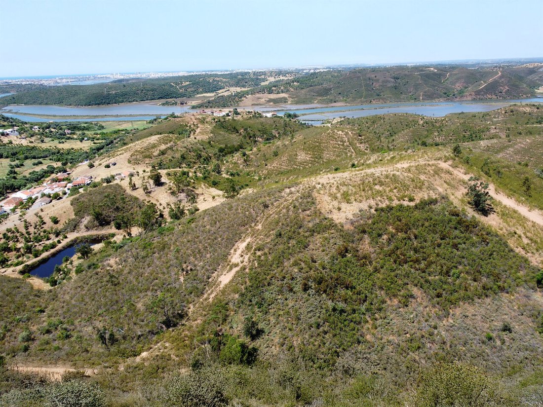 Farm Ranch in Silves, Algarve, Portugal 1 - 15794909