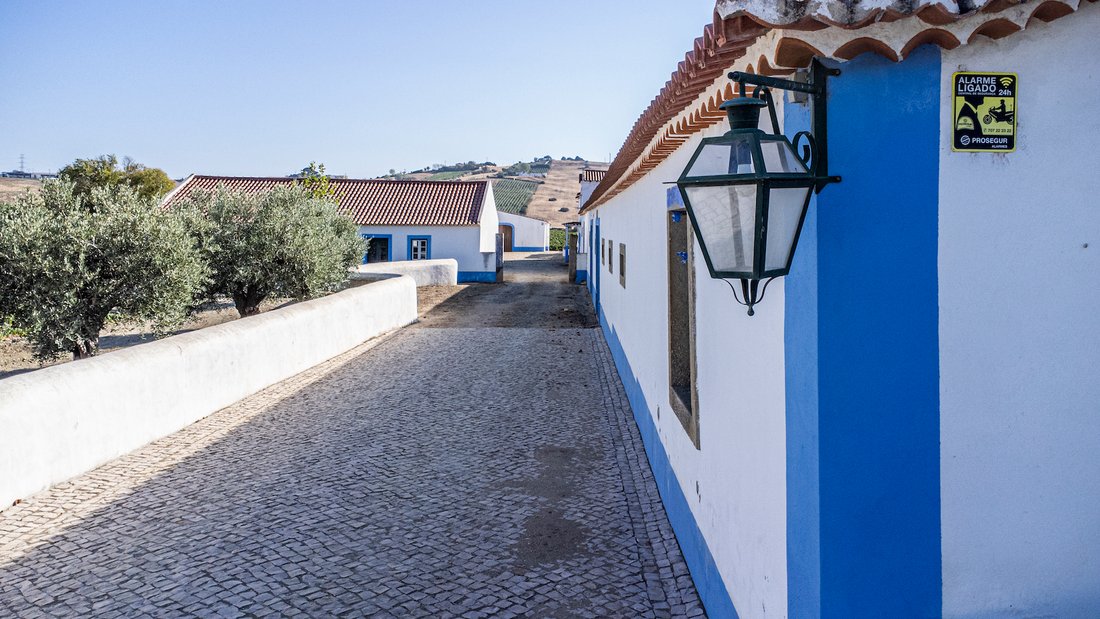 Farm Ranch in Castanheira do Ribatejo e Cachoeiras, Lisbon, Portugal 5 - 15887648