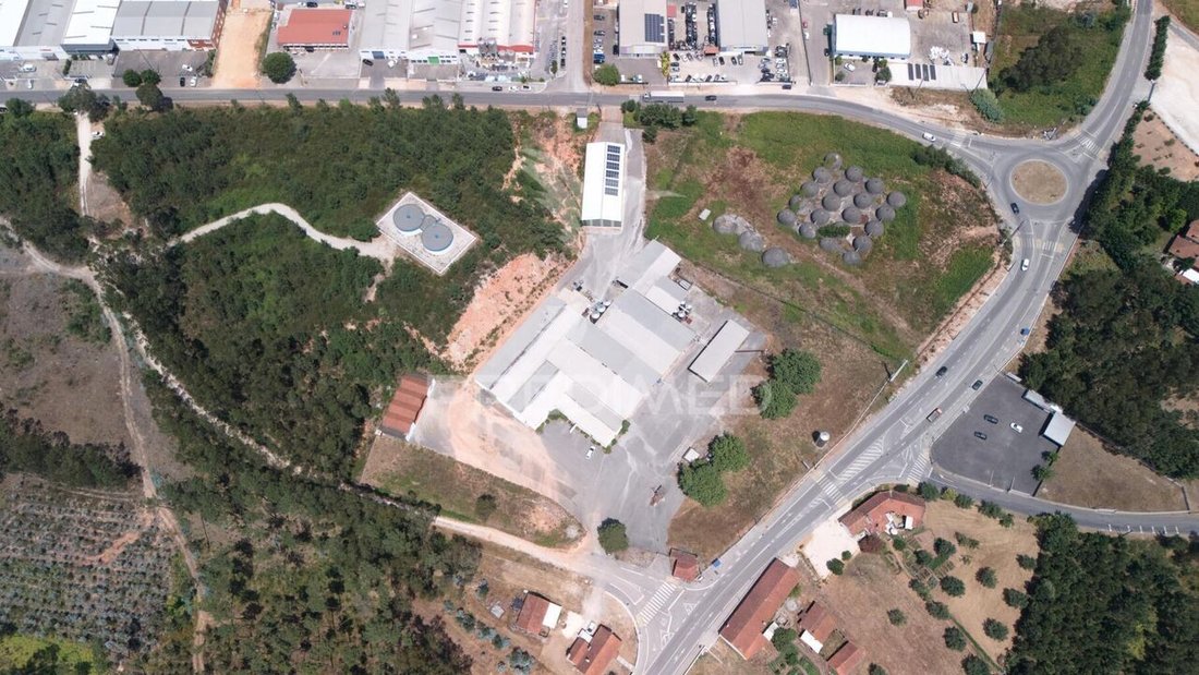 Seica, Santarem District, Portugal 1 - 15874032