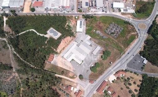 Seiça, Distrito de Santarém, Portugal 1