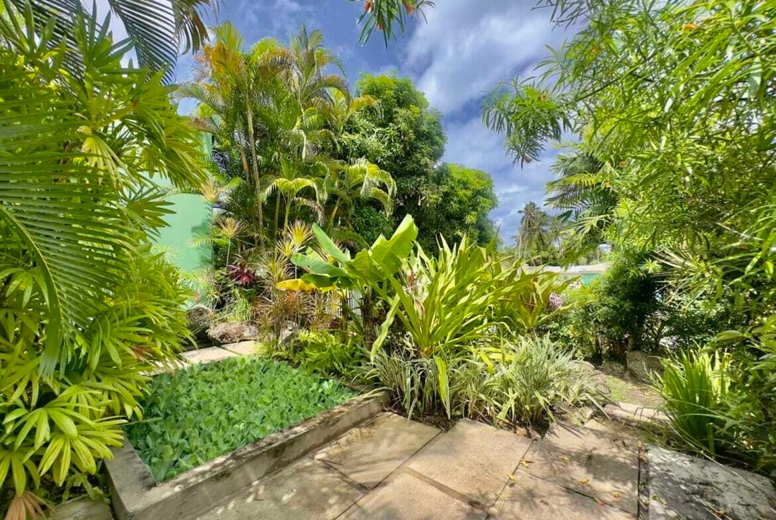 Villa in Bridgetown, Christ Church, Barbados 5 - 15893379