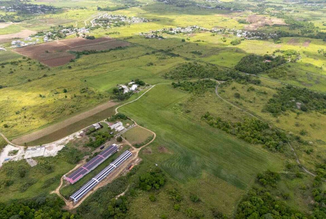 Terreno en Bridgetown, Parroquia de Christ Church, Barbados 3 - 15893458