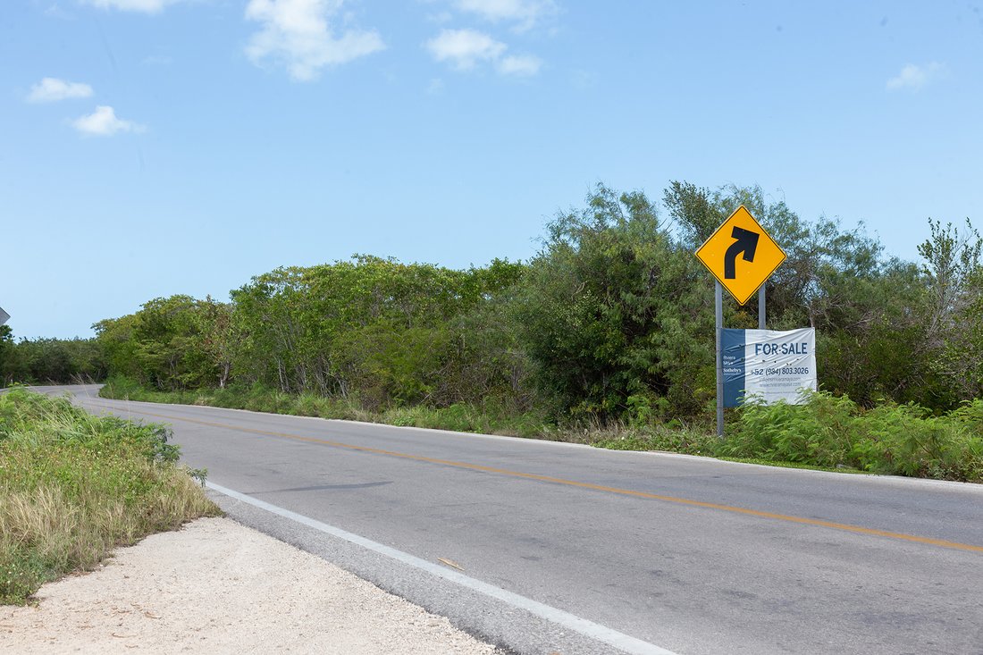 Land in Chicxulub, Yucatan, Mexico 2 - 11700933