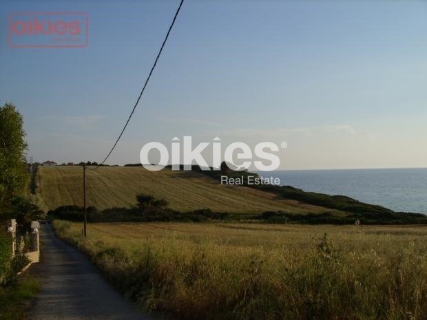 Land in Halkidiki, Macedonia and Thrace, Greece 5 - 15888446