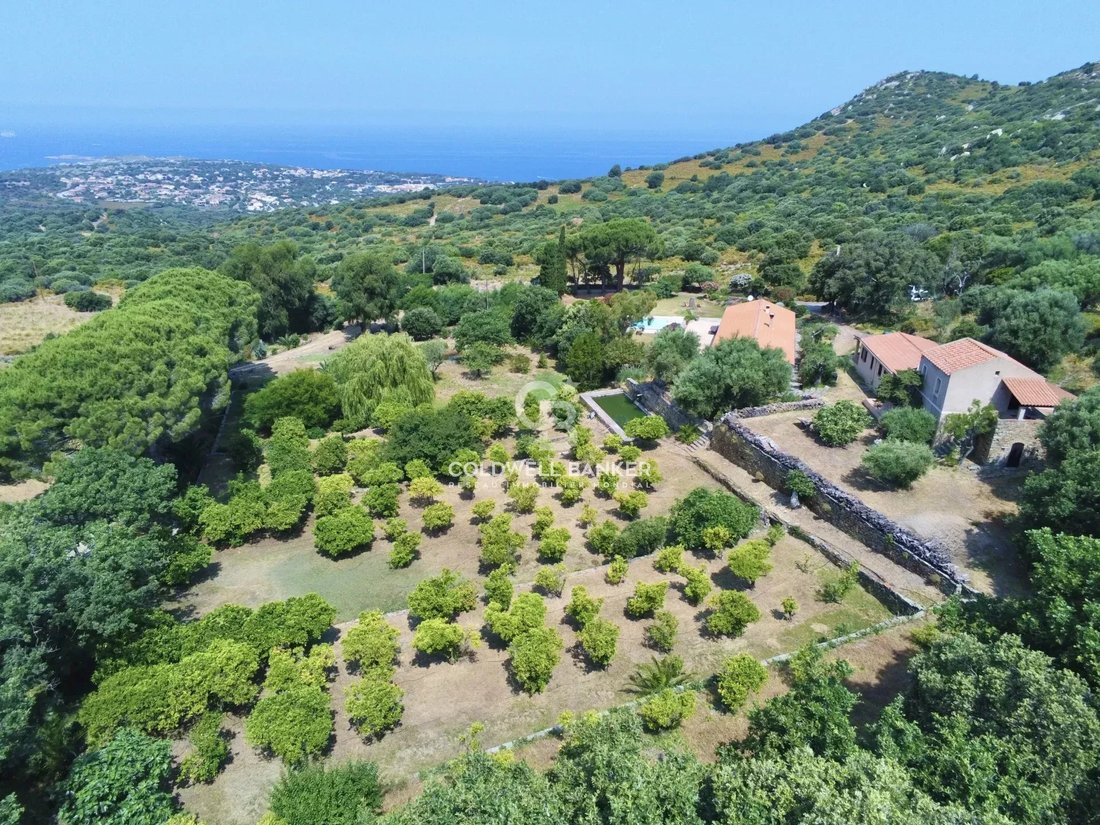 Villa in Lumio, Corsica, France 3 - 15889338