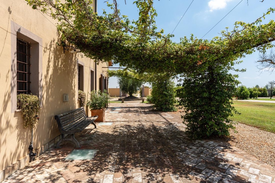 San Frediano a Settimo, Cascina, Tuscany 5 - 15889157