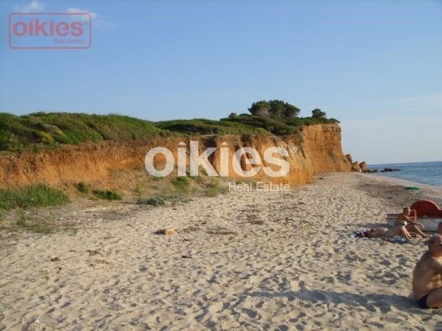 Land in Halkidiki, Macedonia and Thrace, Greece 1 - 15888446