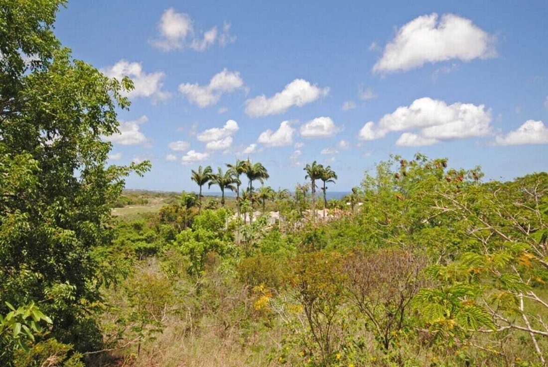Land in Bridgetown, Christ Church, Barbados 5 - 15893415