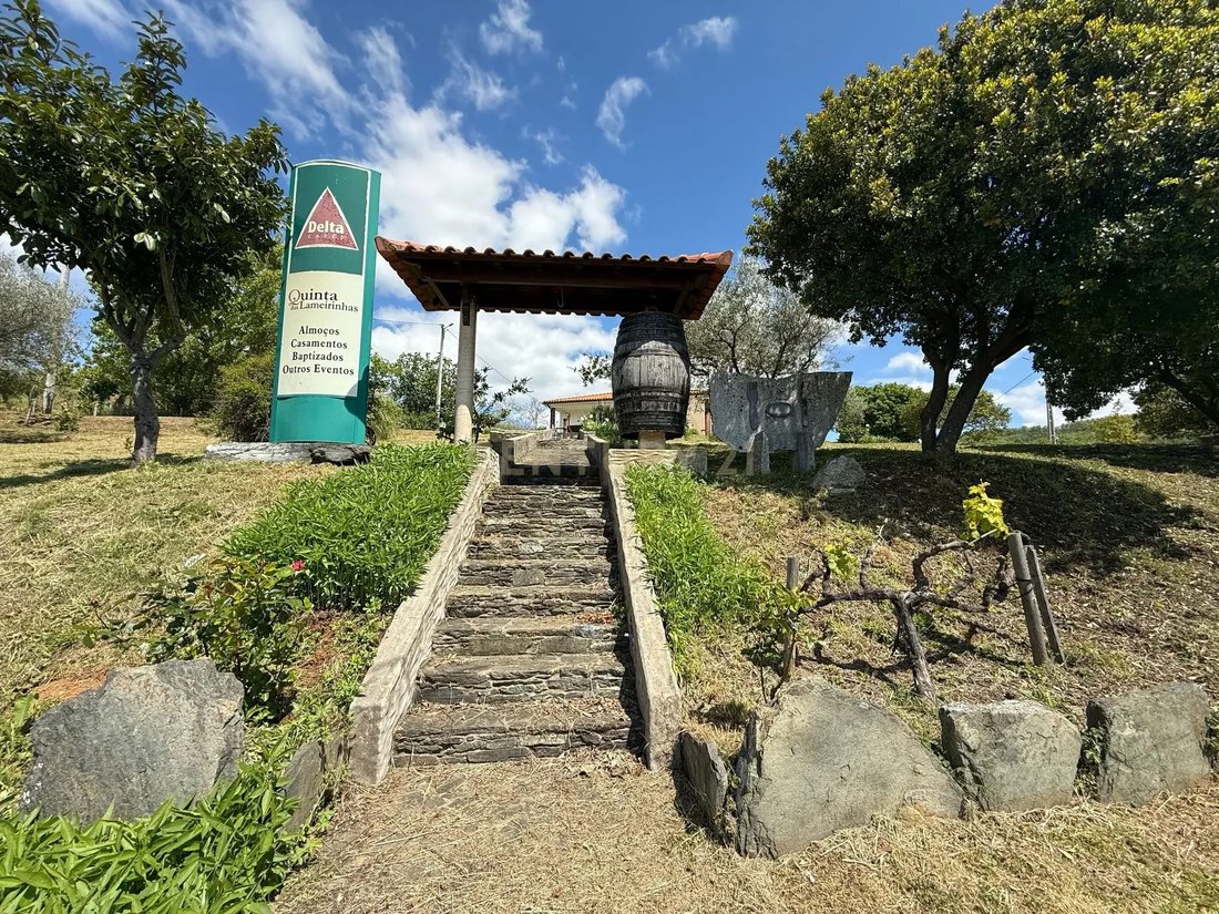 Farm Ranch in Sobreiro de Baixo e Alvaredos, Braganca District, Portugal 3 - 15890165