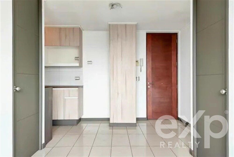 Apartment in Santiago, Santiago Metropolitan Region, Chile 5 - 15887722