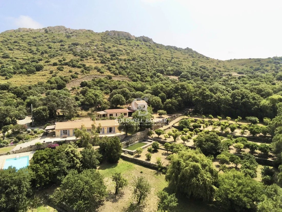 Villa in Lumio, Corsica, France 4 - 15889338