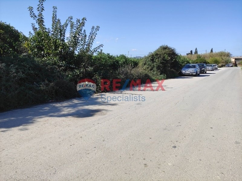 Land in Crete, Greece 3 - 15725725
