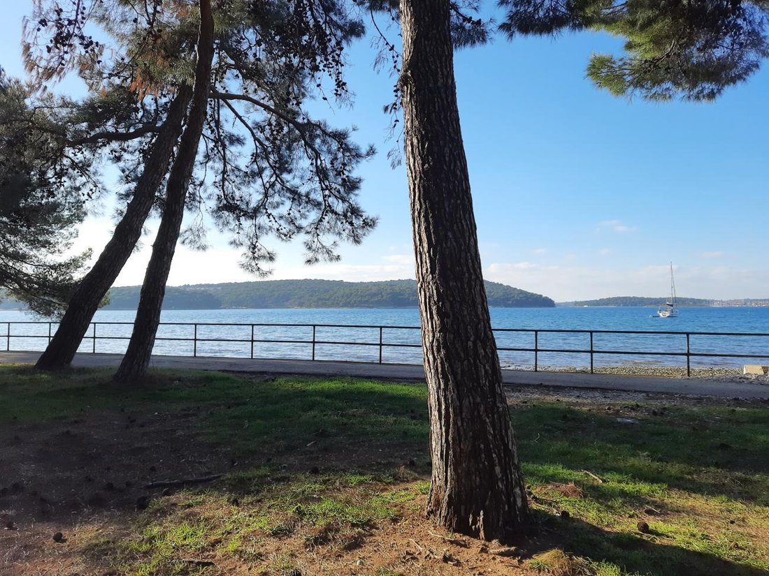 Villa in Medulin, Istria County, Croatia 3 - 15891228
