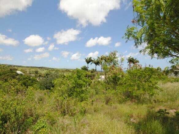 Land in Bridgetown, Christ Church, Barbados 1 - 15893415