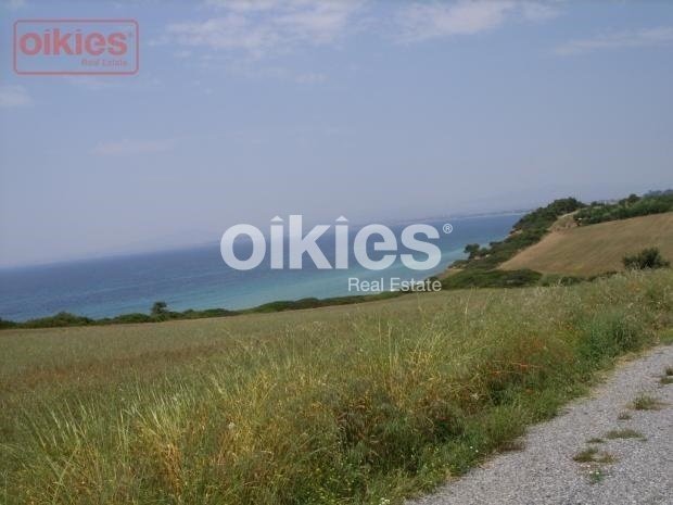 Land in Halkidiki, Macedonia and Thrace, Greece 3 - 15888446