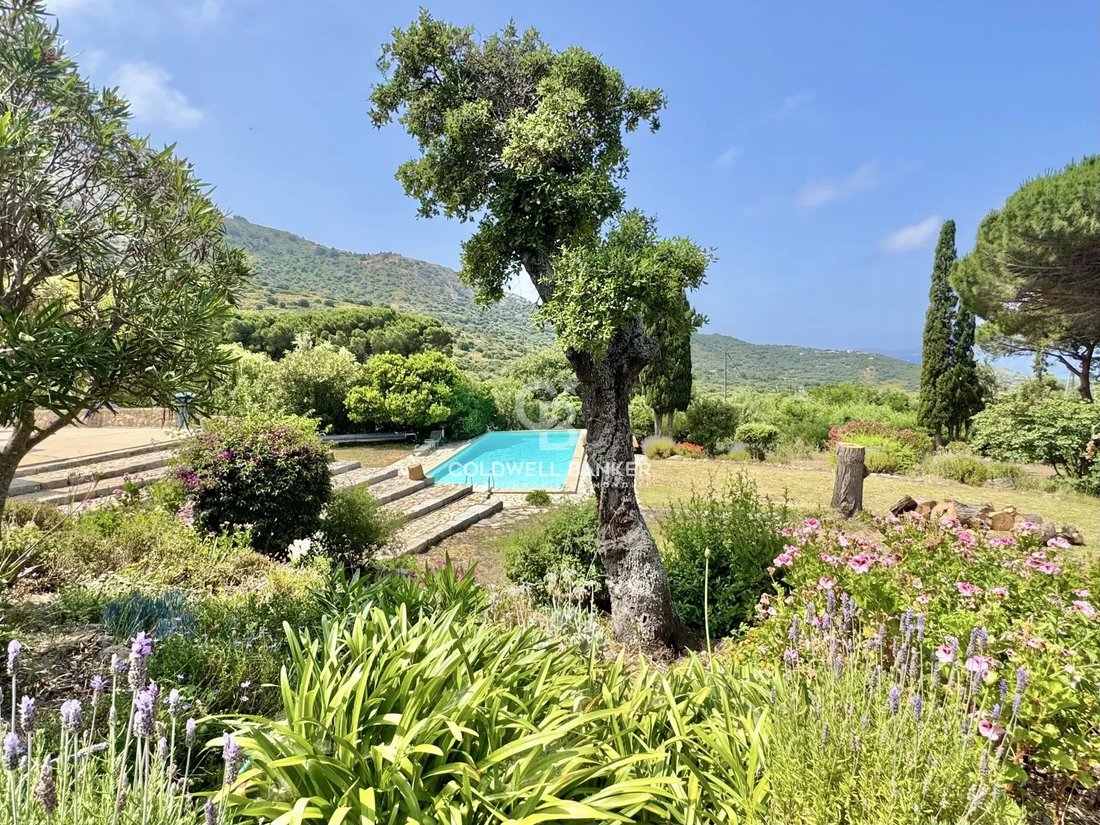Villa in Lumio, Corsica, France 5 - 15889338