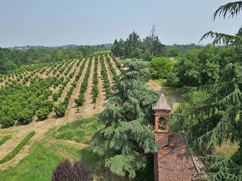 Maison à Asti, Piémont, Italie 4 - 15890999