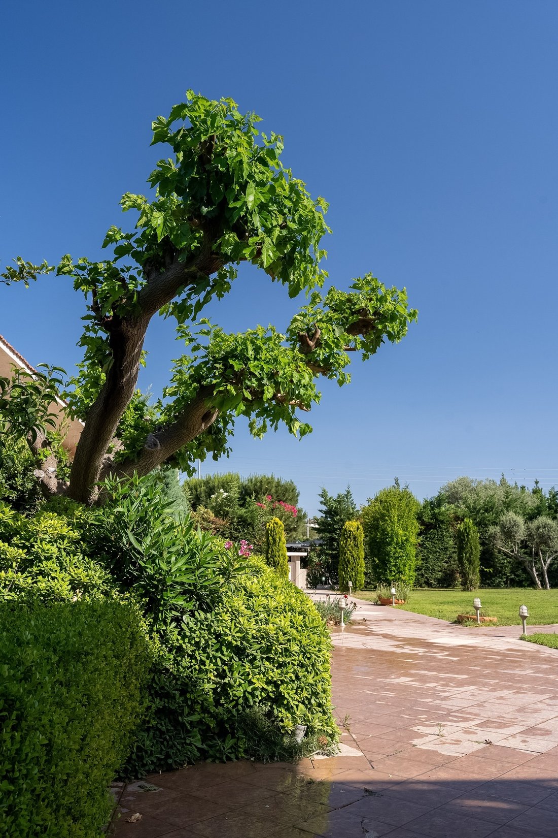 Villa in Kropia, Attica, Greece 4 - 15714840