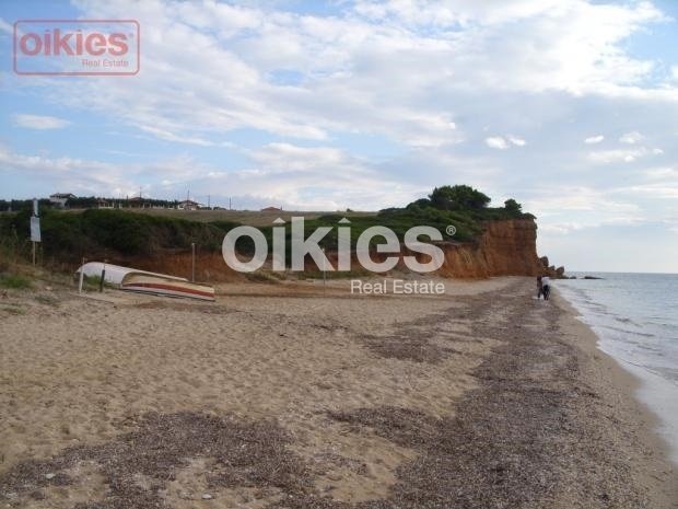 Land in Halkidiki, Macedonia and Thrace, Greece 2 - 15888446