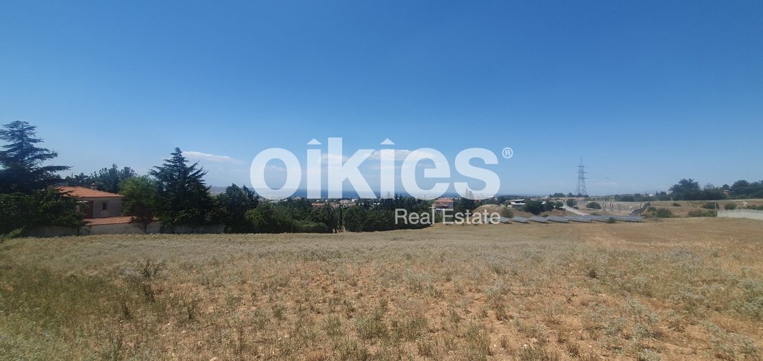 Land in Panorama, Macedonia and Thrace, Greece 2 - 15888457
