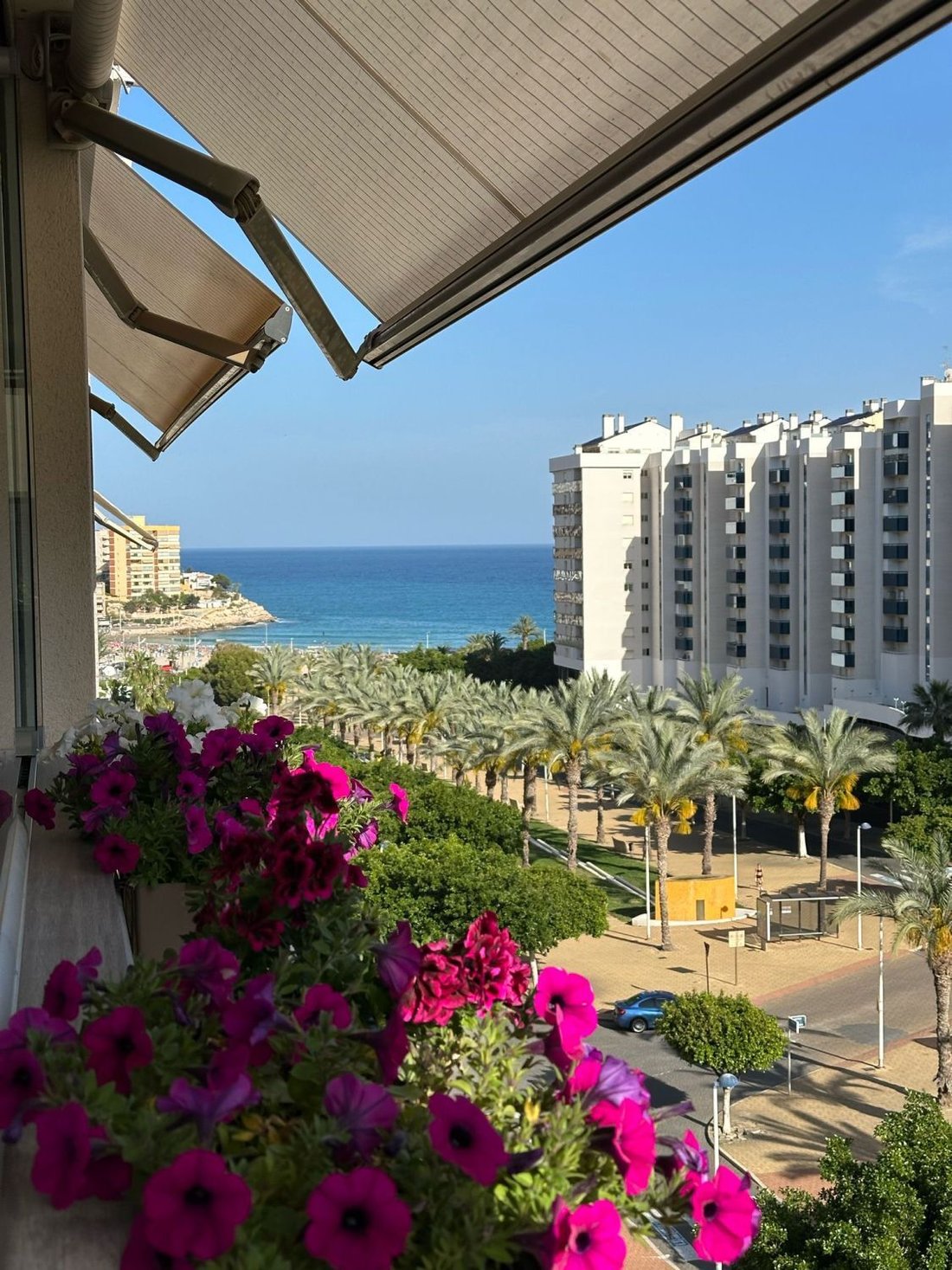 Apartment in la Vila Joiosa / Villajoyosa, Valencian Community, Spain 1 - 15893956
