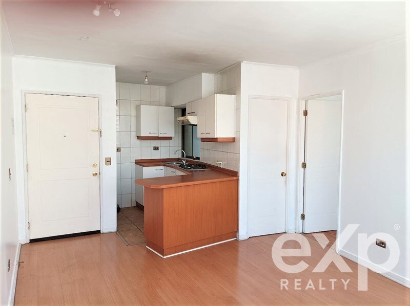 Apartment in Santiago, Santiago Metropolitan Region, Chile 3 - 15887069