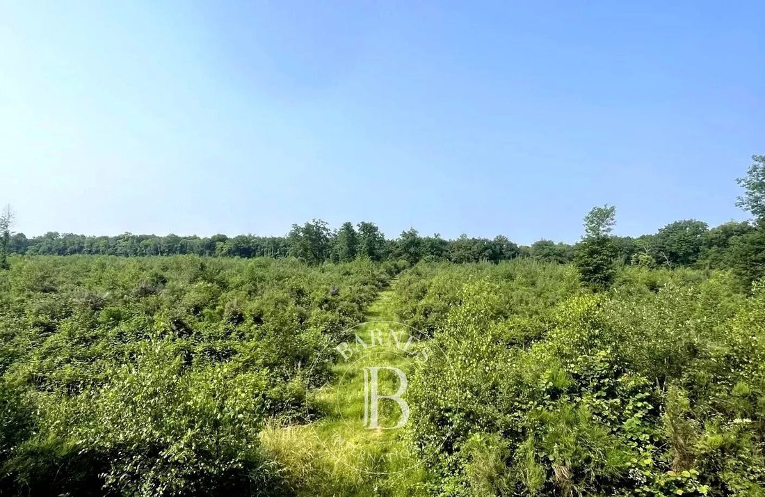 Estate in Mionnay, Auvergne-Rhône-Alpes, France 2 - 15887826