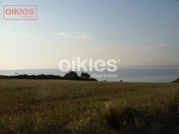 Land in Halkidiki, Macedonia and Thrace, Greece 4 - 15888446