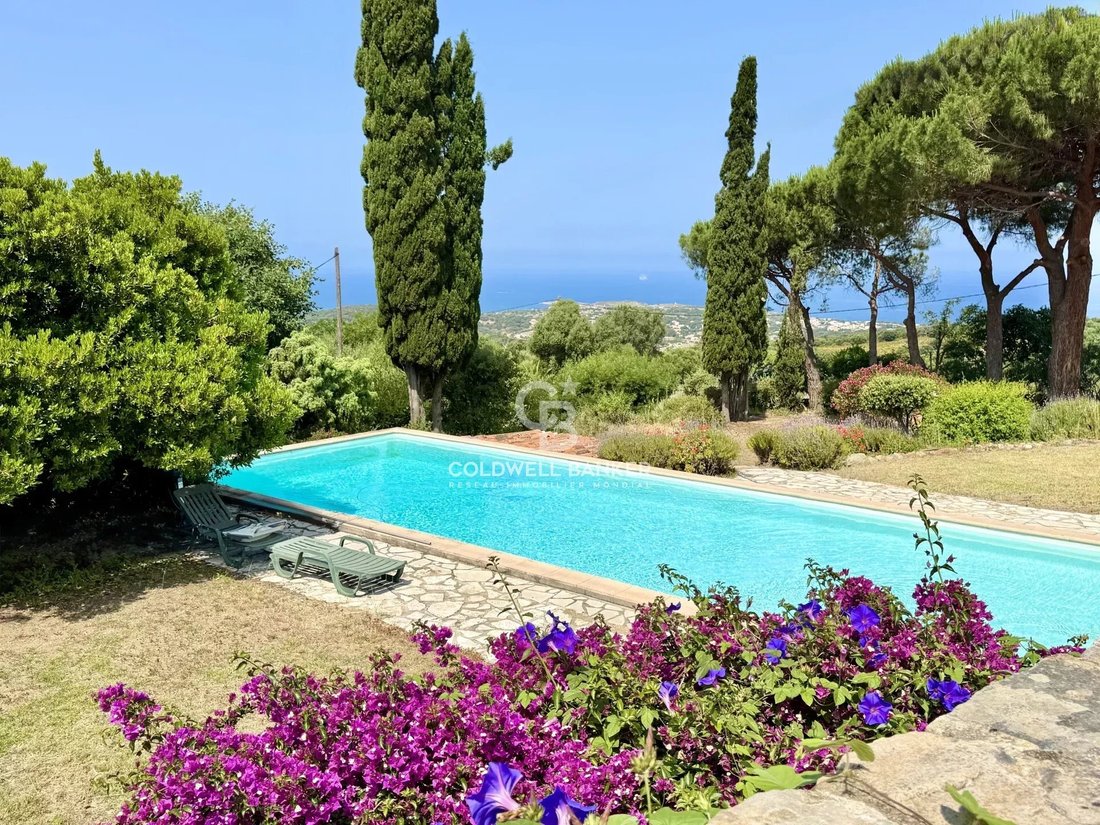 Villa in Lumio, Corsica, France 1 - 15889338
