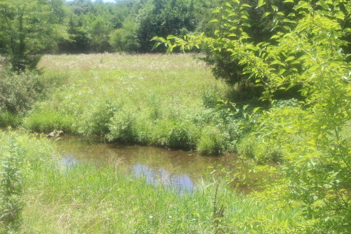 Land in Bolivar, Missouri, United States 5 - 15892971