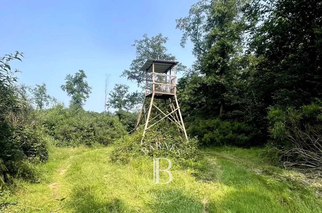 Estate in Mionnay, Auvergne-Rhône-Alpes, France 3 - 15887826