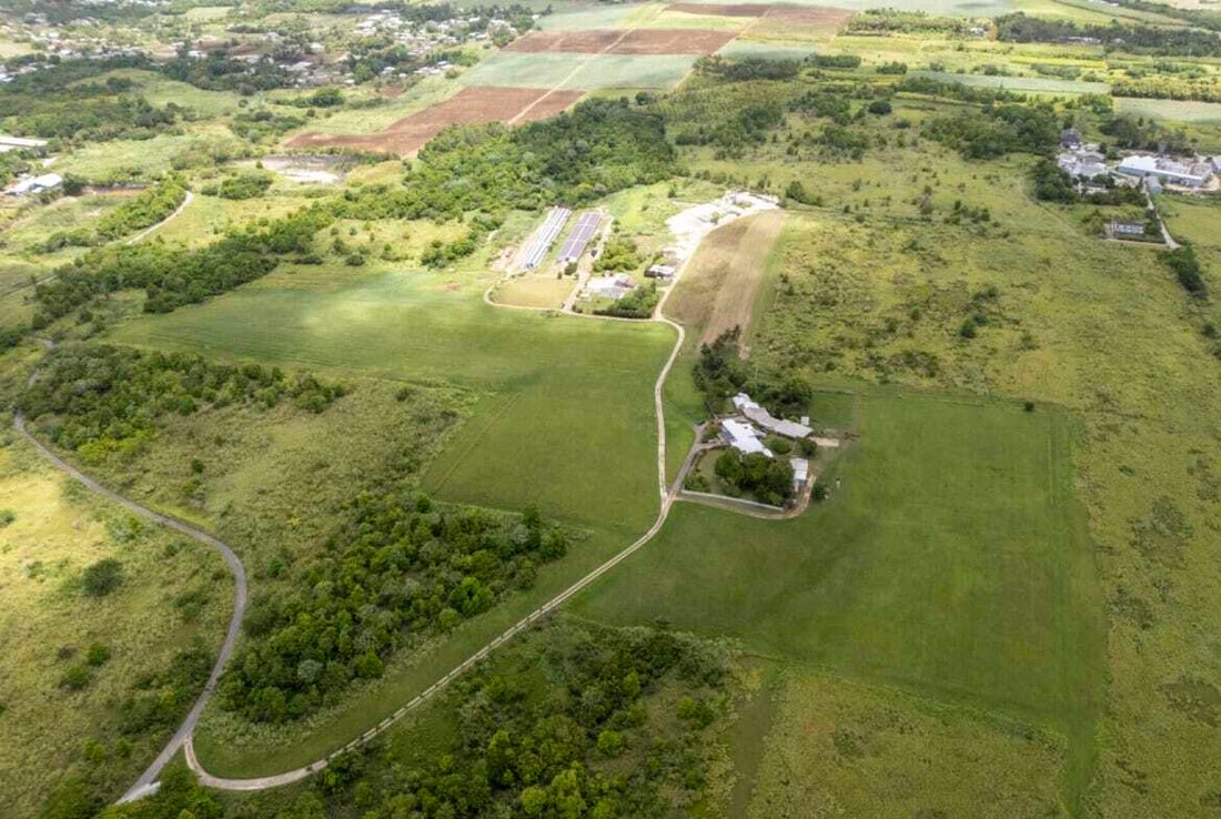 Land in Bridgetown, Christ Church, Barbados 5 - 15893458