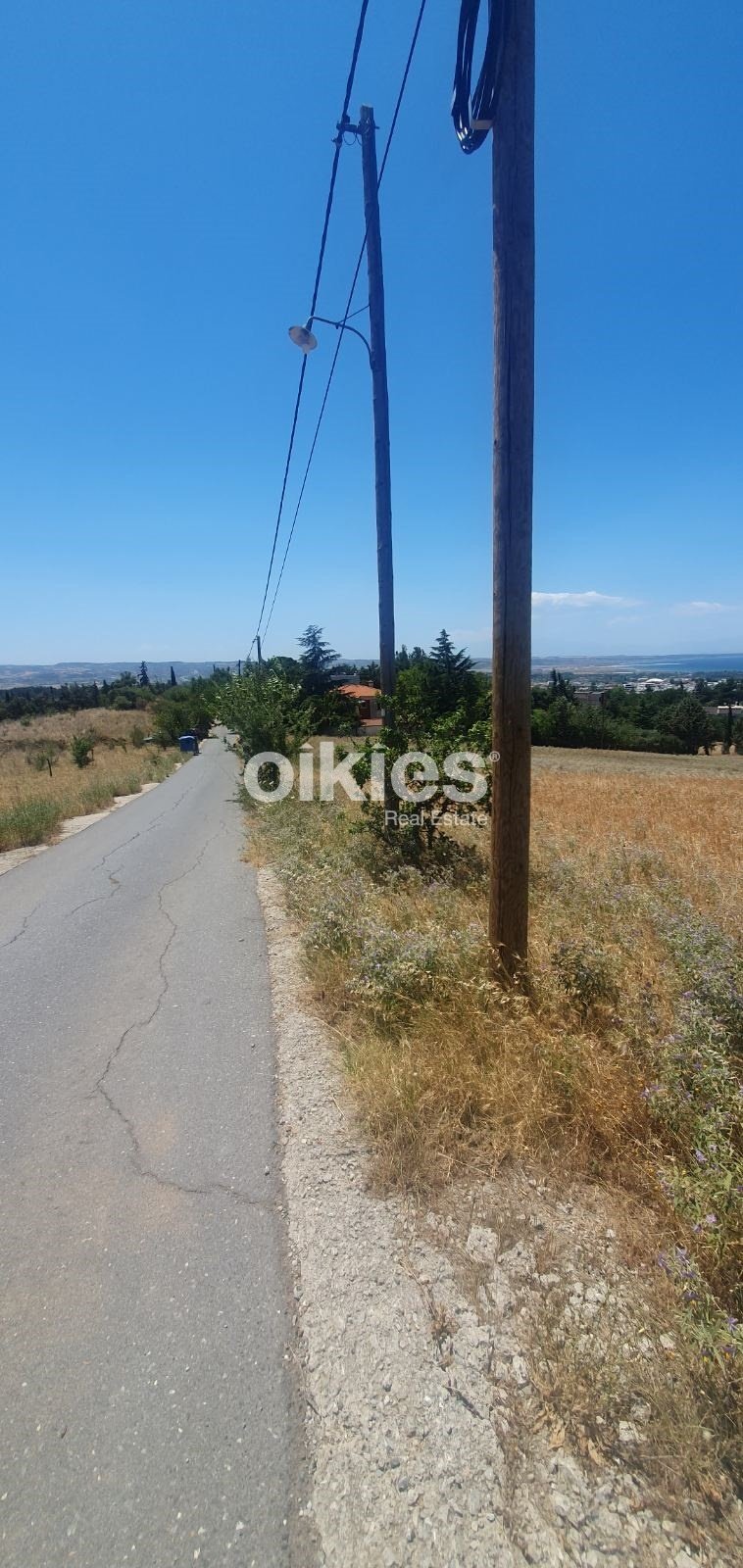 Land in Panorama, Macedonia and Thrace, Greece 5 - 15888457