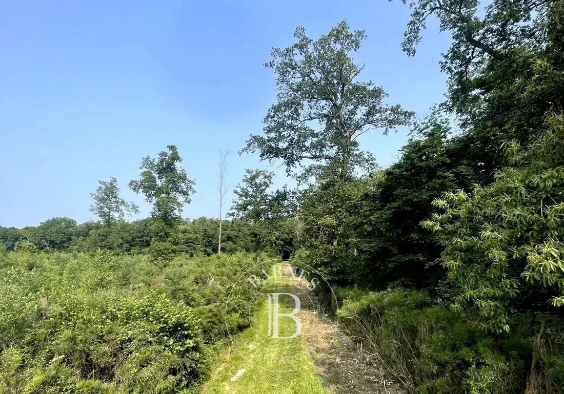 Estate in Mionnay, Auvergne-Rhône-Alpes, France 4 - 15887826