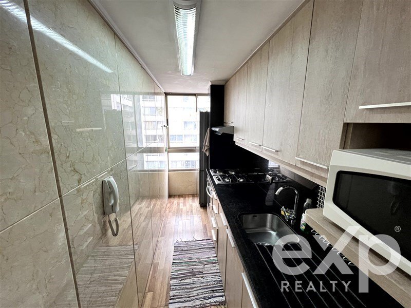 Apartment in Santiago, Santiago Metropolitan Region, Chile 2 - 15887087