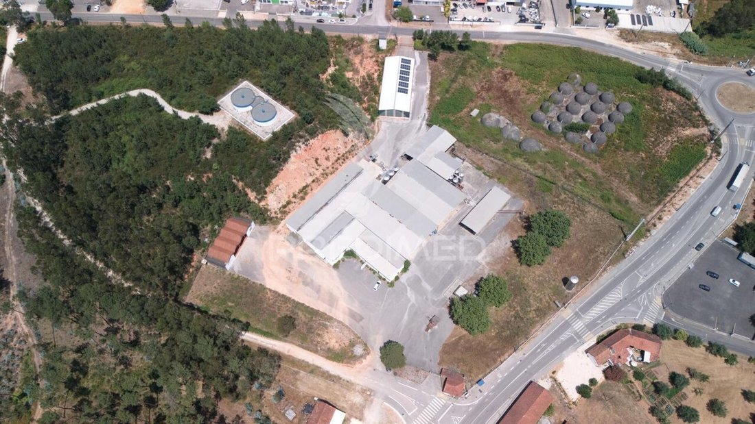 Seica, Santarem District, Portugal 4 - 15874032