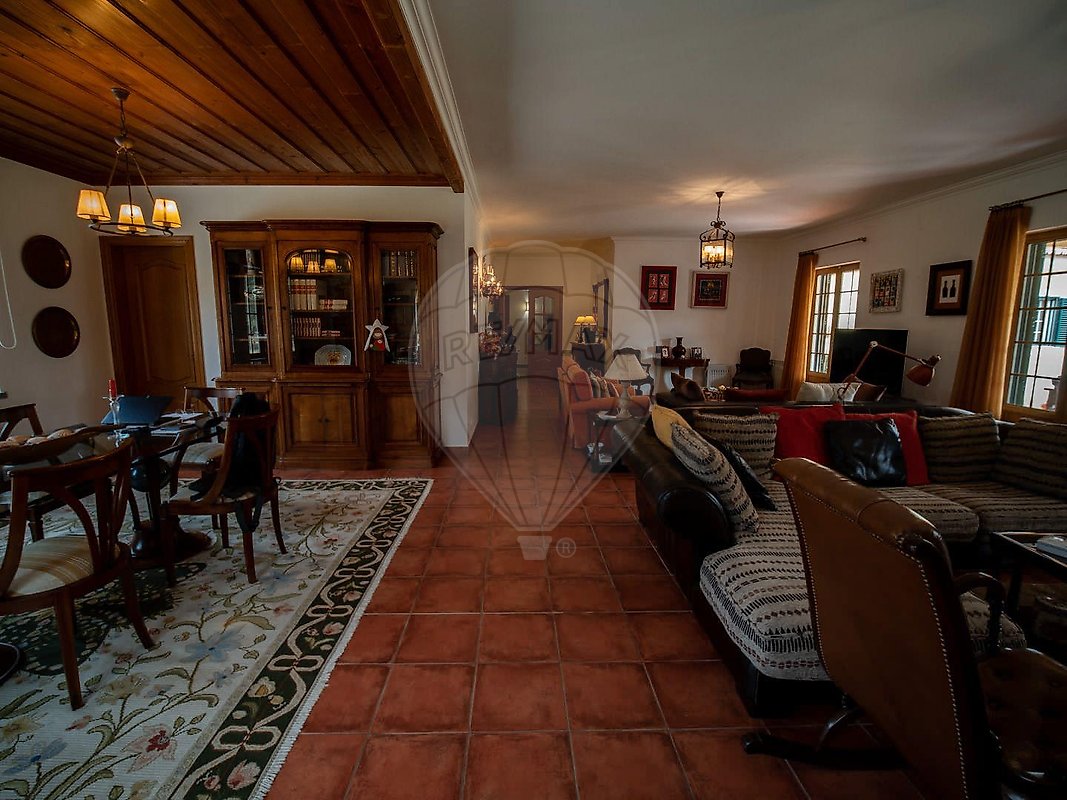 Villa in Santo Estevao, Santarem District, Portugal 3 - 15887327