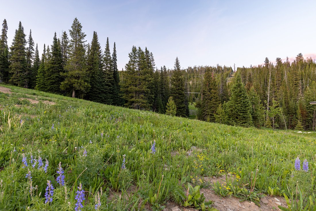 Land in Gallatin Gateway, Montana, United States 5 - 13551321