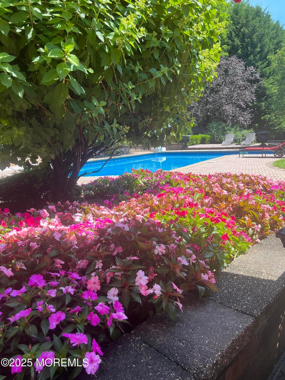 House in Lincroft, New Jersey, United States 2 - 15550832
