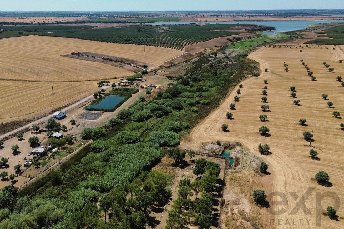 Farm Ranch in Santa Vitoria e Mombeja, Beja District, Portugal 2 - 15894721