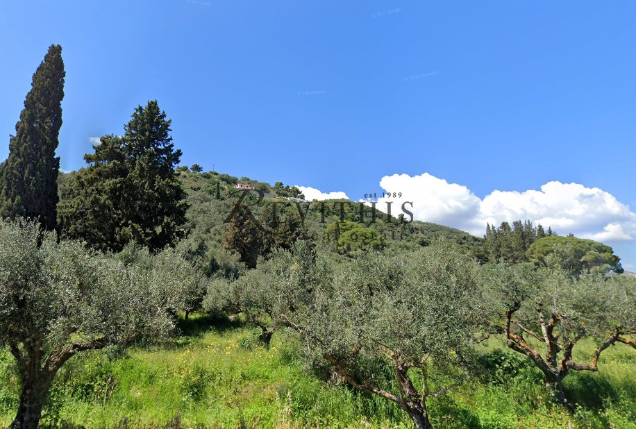 Land in Lithakias, Laganas, Greece 3 - 15895079
