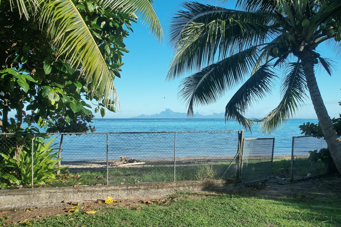 House in Pā'ea, Windward Islands, French Polynesia 3 - 15895707