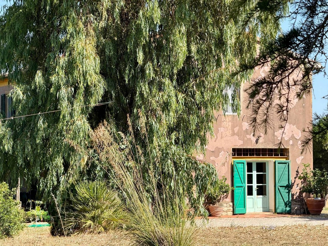 Villa in Magliano in Toscana, Tuscany, Italy 4 - 15896264